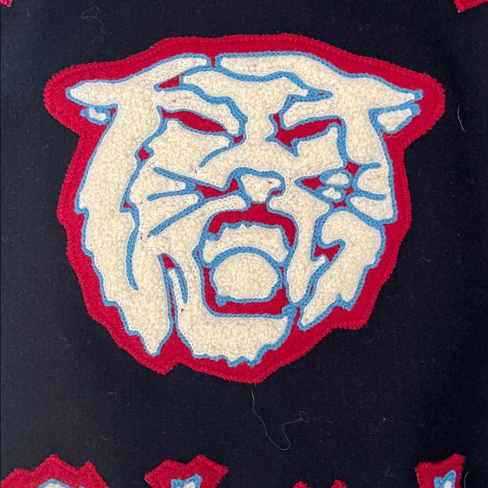 Dehen 1920 Anniversary varsity jacket - Picture 11 of 15